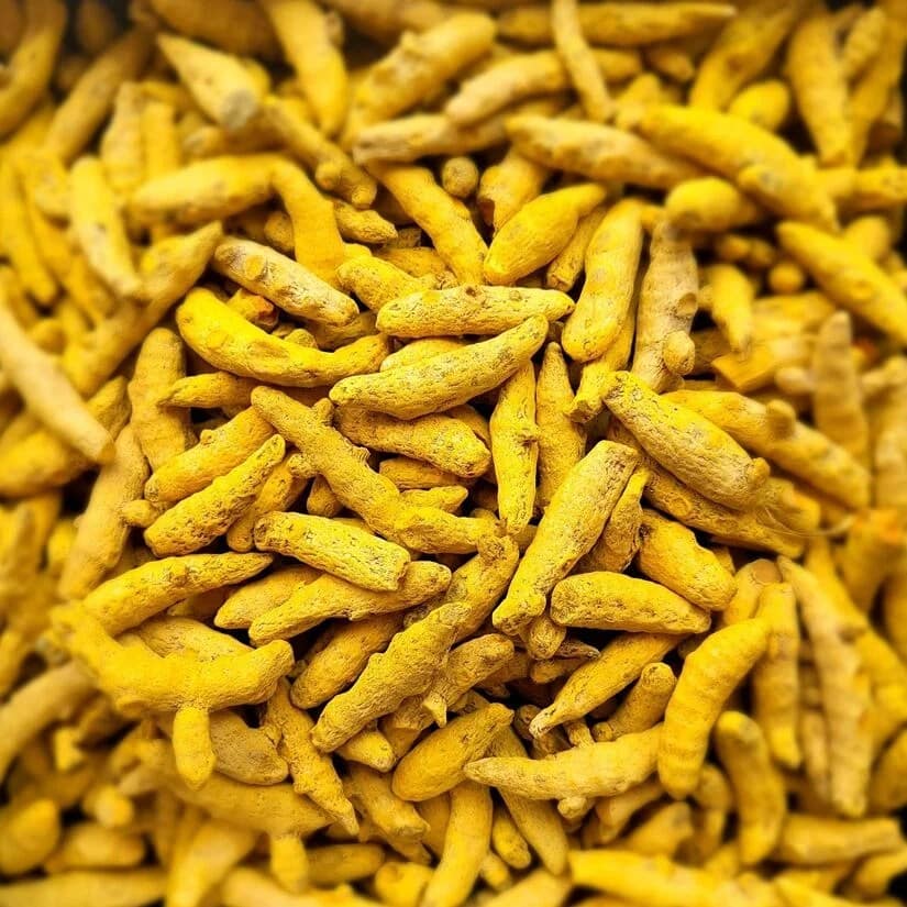 Turmeric 1