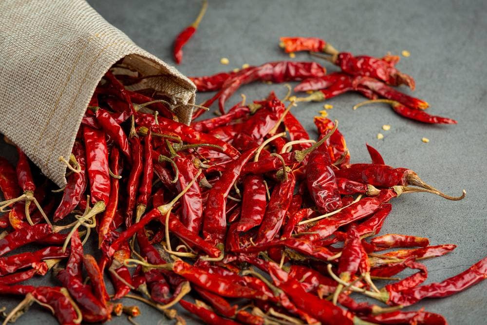 red chilli exporter india