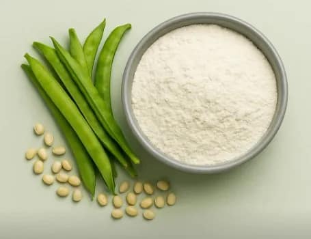 Guar Gum Manufacturer in India - Rangsarjan Chemicals